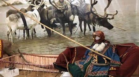 Экспозиции Дома природы г. Надыма